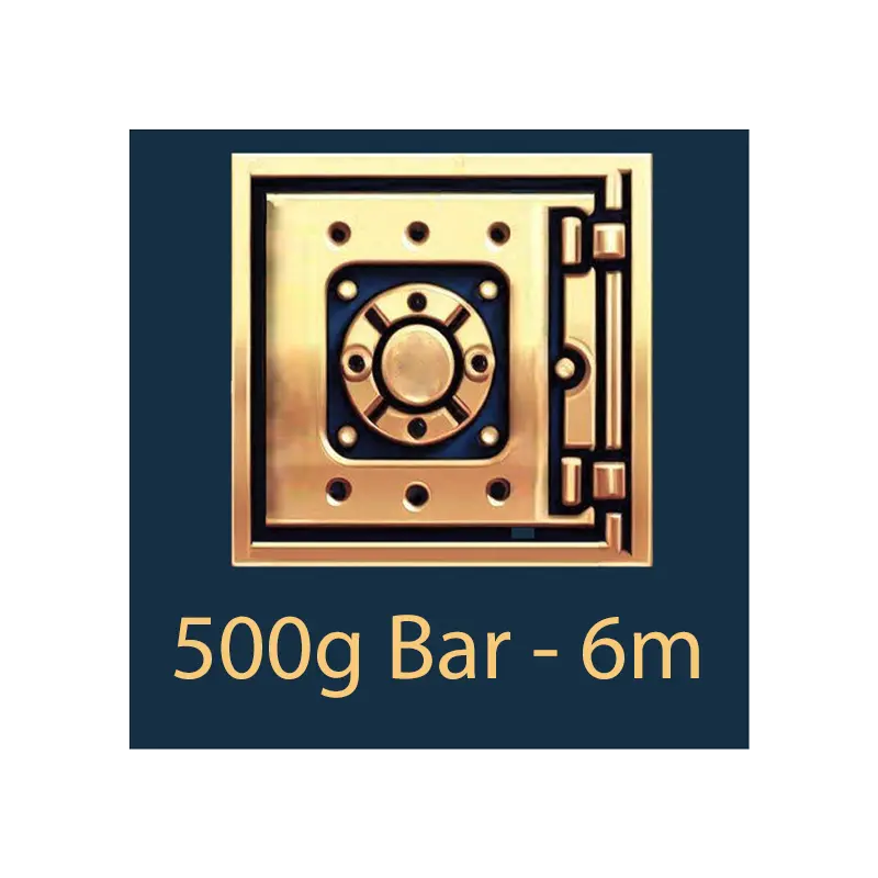 500g 棒材 - 保管库 - 6 个月