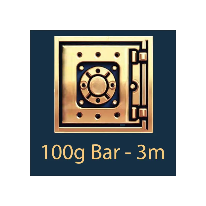 100g 棒材 - 保管库 - 12 个月