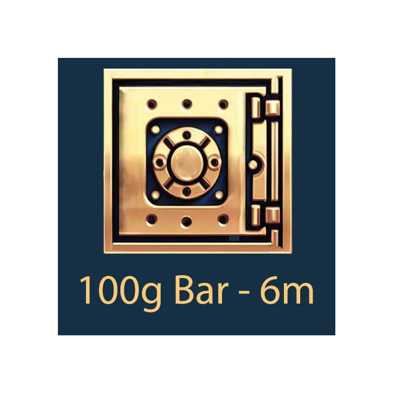 100g 棒材 - 保管庫 - 6 個月