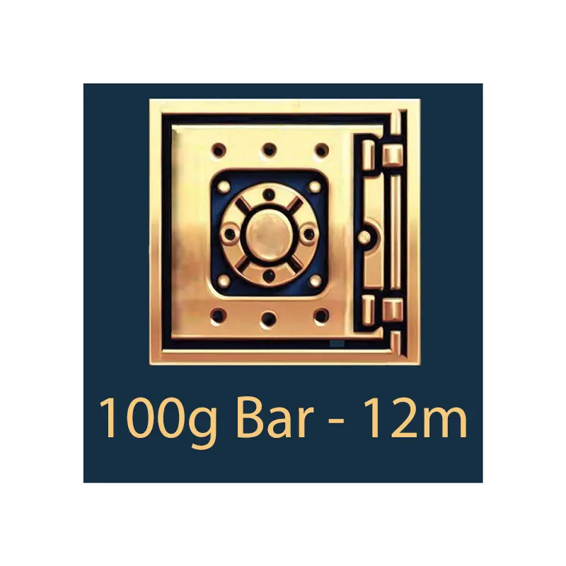 100g 棒材 - 保管库 - 12 个月